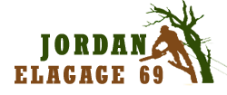 elagage-jordan-elagage-69